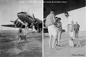150-AERODROME-ET-BASE-1945-1962-34- (30) AOULEF